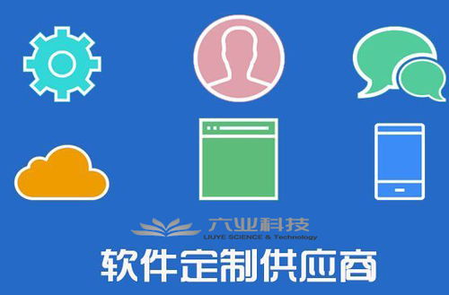 六業(yè)應(yīng)用軟件開發(fā)全流程解析 從構(gòu)想到交付